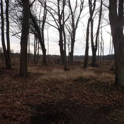 W Korytach odnaleziono masowy grób