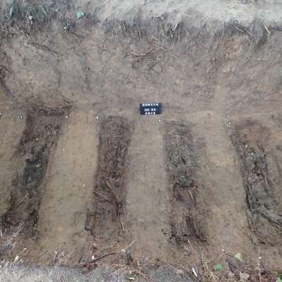 W Korytach odnaleziono masowy grób