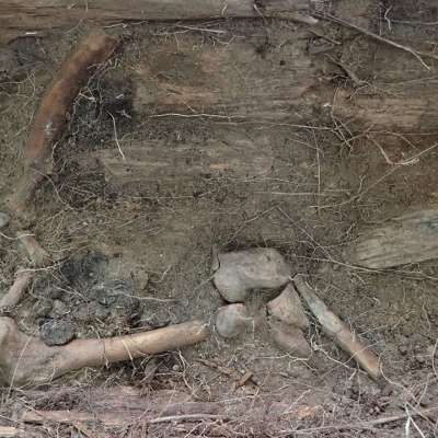 W Korytach odnaleziono masowy grób