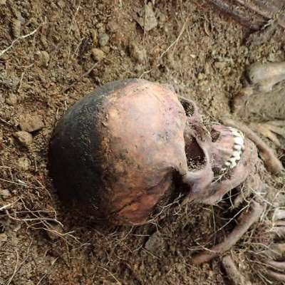 W Korytach odnaleziono masowy grób