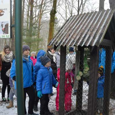 Dzieci i młodzież zadbali o leśne zwierzęta
