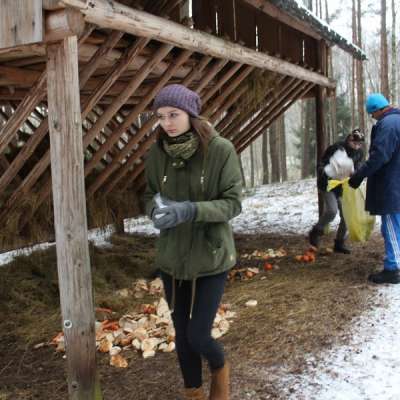 Dzieci i młodzież zadbali o leśne zwierzęta