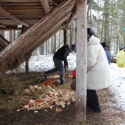 Dzieci i młodzież zadbali o leśne zwierzęta